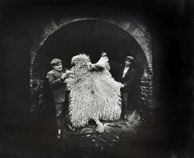 Lot 179 - Gowin, Emmet, born 1941