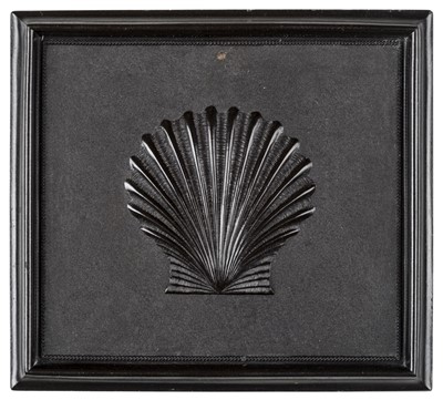 Lot 444 - The Clam Shell.