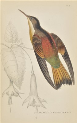 Lot 146 - Jardine, Sir William