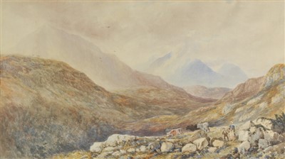 Lot 204 - North Wales.