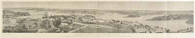 Lot 355 - Sydney.