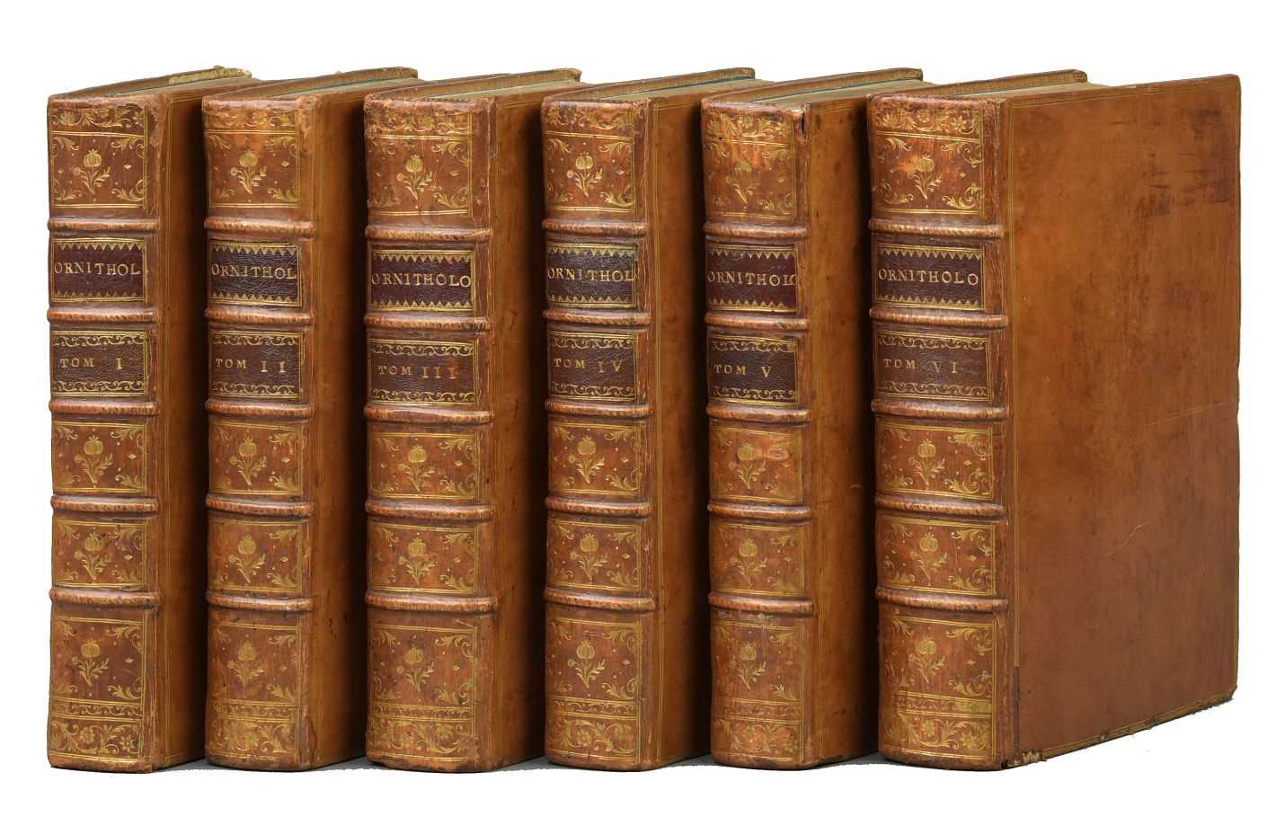 Lot 59 - Brisson, Mathurin Jacques