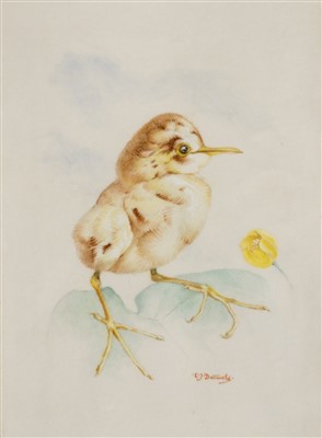 Lot 613 - Detmold, Edward J., illustrator