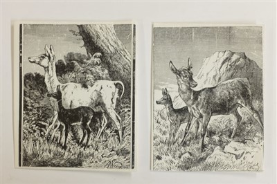 Lot 538 - [Weir, Harrison].