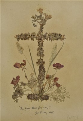 Lot 68 - Dried Flowers.