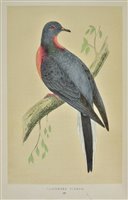 Lot 67 - Morris, Rev. F.O.