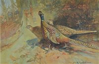 Lot 255 - Southgate, Frank, 1872-1916