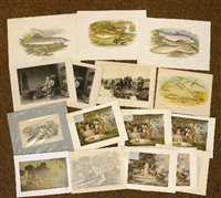 Lot 86 - Fish.