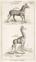 Lot 564 - [Fenn, Lady Ellenor (Frere)].