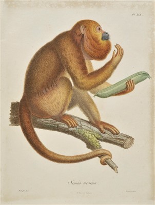 Lot 72 - Humboldt, Friedrich Heinrich Alexander von & Bonpland, Aime Jacques Alexandre Gayaud