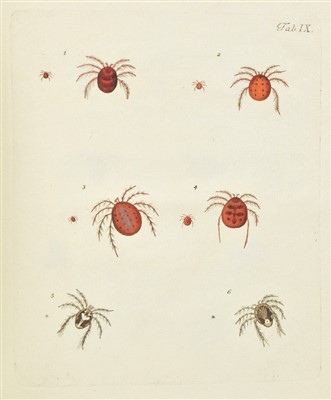 Lot 74 - Muller, Otto Fridrich