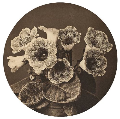 Lot 752 - Malby, Henry J., active 1893-1910