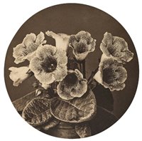 Lot 752 - Malby, Henry J., active 1893-1910