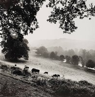 Lot 912 - Beaton, Cecil, 1904-1980