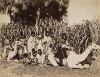 Lot 716 - Egypt.