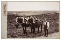 Lot 797 - Cartes de visite.