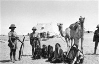 Lot 989 - World War I - Sinai & Palestine Campaign.