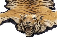 Lot 91 - Tiger Skin.