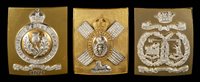 Lot 321 - The Queen's Own Cameron Highlanders.