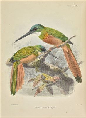 Lot 100 - Sclater (Philip Lutley). Monograph of the Jacamars and Puff-Birds, 1st edition, 1879-82