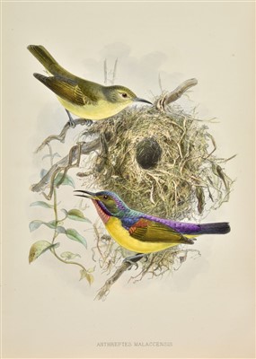 Lot 105 - Shelley (George Ernest). Monograph of the Nectariniidae, 1st edition, 1876-80