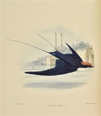 Lot 104 - Sharpe (Richard Bowdler, & Claude Willmott Wyatt). Monograph of the Hirundindae, 1885-94