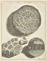 Lot 193 - Royal Society of Edinburgh.