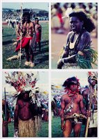 Lot 302 - Pacific Islands.