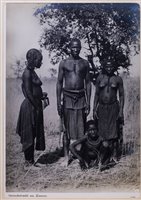 Lot 294 - Namibia.