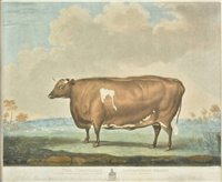 Lot 354 - Ward (William)