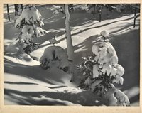 Lot 275 - Ferguson (Frederick W., FRPS).