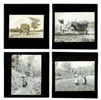 Lot 192 - Magic lantern slides.