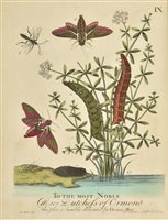Lot 181 - Albin (Eleazar). A Natural History of English Insects, 5th edition, 1749
