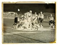 Lot 313 - Rugby.