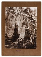 Lot 333 - The Cottingley Fairies