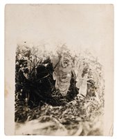 Lot 336 - The Cottingley Fairies.