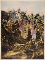 Lot 343 - The Cottingley Fairies.