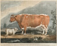 Lot 303 - Fisher (A.)