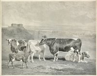 Lot 357 - Woodman (Richard)