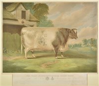 Lot 356 - Whitford (Richard, after)