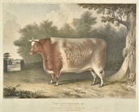 Lot 309 - Giles (J. W.)