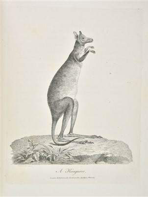 Lot 35 - White (John). Journal of a Voyage to New South Wales, 1st edition, 1790