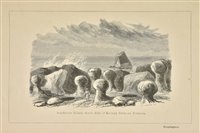 Lot 30 - Collingwood (Cuthbert).