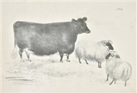 Lot 324 - Howe (James)