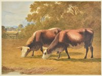 Lot 321 - Hills (Robert)