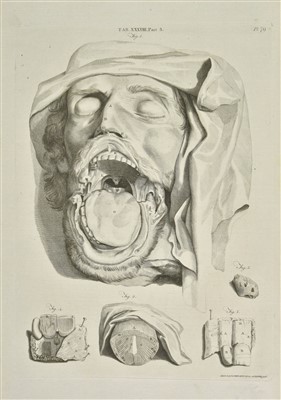 Lot 273 - Bell (Andrew). Anatomia Britannica, A System of Anatomy, 1798