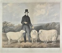 Lot 318 - Hanhart (M. & N., lithographers)