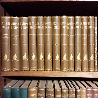Lot 67 - British Birds.