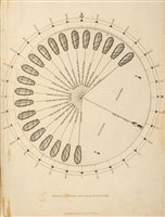 Lot 42 - Steel (David). The Elements and Practice of Rigging and Seamanship, 1st edition, 1794