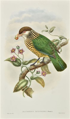 Lot 313 - Gould (John & Hart W.)